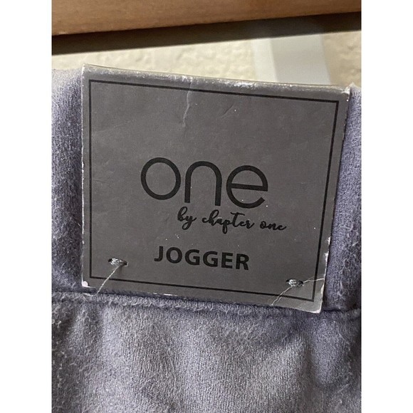 NWT One by Chapter One Gray/Lavender faux suede Jogger Pants Size Small - Picture 4 of 7
